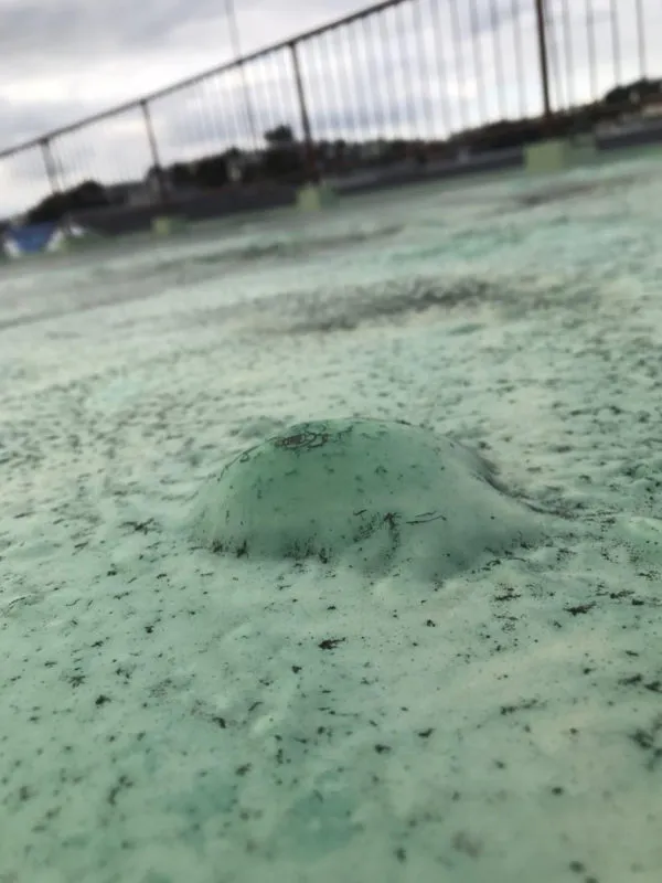 ウレタン防水で発生する膨れ