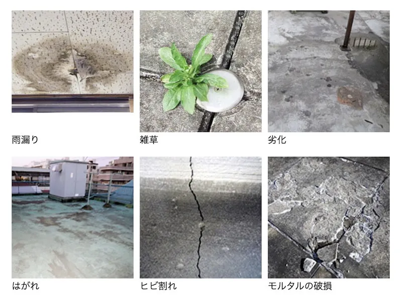防水層の劣化